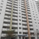 판암동209 이미지