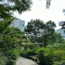 글샘공원 네이버블로그