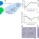 독일 막스 플랑크 연구소 연구원으로 있는 지인 중 하나가 코로나 19 관련하여 보내준 자료입니다. 의료계 분께 도움이 되길 바랍니다. 이미지