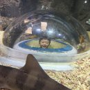 힐링이 있는 거리공연 | 대구 아쿠아리움 후기, 먹이주기 체험부터 앵무새 공연·구름다리까지