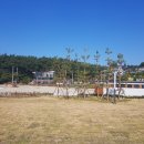 남포항 다목적광장 이미지