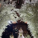 오라기프트 | 광주 부케 말리기 공방 추천 파우더블루 (feat. 셀프 부케 기프트)