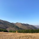 영남농장 이미지