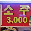 오징어 세상 이미지