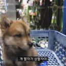 Be 동물병원 이미지