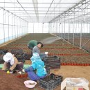 금송농장 이미지