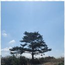 올래펜션민박 이미지