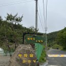 충남 천안아산 근교 청양 글램핑 추천 청결 깔끔 가족단위로 방문하기 좋은 자연 힐링 글램핑 평화숲...