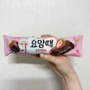 한성카에어컨 | 신상 아이스크림 요맘때 초코크러쉬 요아정 베라 안가도 되겠는데? 내돈내산 후기