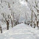 하얀나라 이미지