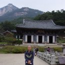 봉암사 - 1772 | 봉암사