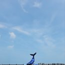 하늘고래 카페