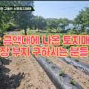 강원부동산 중개사무소 이미지