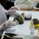 송산3동 작은도서관 이미지