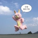 사네마켓
