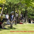 토월중학교 이미지