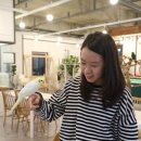 인천 서창동 앵무새카페 플레이버드 후기 :-)