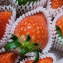 케이비골드 이미지