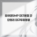 모어댄SMP 이미지