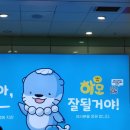 여주-0521 네이버블로그