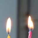 파리바게뜨 운정아이파크점 | [기록_내돈내산] 파리바게트 파란라벨 저당 그릭요거트 케이크 플레인 후기