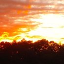 수상정미소 이미지