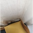 강동구방역업체 그리마 퇴치와 예방도 원스톱으로 진행하세요
