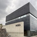 우리들무거점 | 제주 수제버거 맛집 무거버거 후기당근버거 시금치버거 제주도 수제버거 찐맛