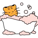 투썸플레이스 강진아트홀 이미지