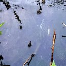금산정화조 - 1161 | 금산정화조