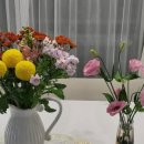 신선한농장 이미지