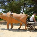 전라남도 순천을 경유하는 여수 엑스포 1박 2일 여행기 - 1 이미지