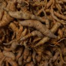 영진고등학교 이미지