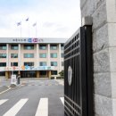 봉정초교 베이비뉴스