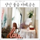 카페공손