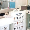 숭구리댕댕 이미지