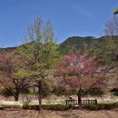 경인농장 | 경남 창녕 구현산(580m) 진달래와 신록이 반기는 암릉길의 미로찾기(2026.4.11)