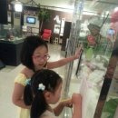 나비야놀자박물관 이미지