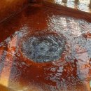 신촌닭불백 이미지