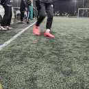 공골우천1교 | 풋살장 8년 운영 후기, 축구공은 탱탱볼 잔디교체는 3천만원