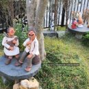 스테이 수양호 이미지