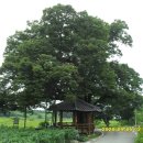 신평리경로당 이미지