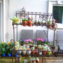 꽃수레화원 이미지