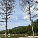 오토오아시스 평창점 | 평창 가야지 캠핑장 ⛺️ 호수뷰, 마운틴뷰 완벽한 신생 캠핑장 사이트 완전 넓고 완전 깨끗한!