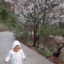 정원민박 이미지