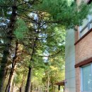 응암공원 내 이미지