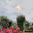 야곱 - 칠곡군 | 야곱