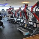 비바 휘트니스 이미지