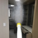 라디안아이 이미지