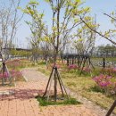 아름다운환경건설(주) 이미지